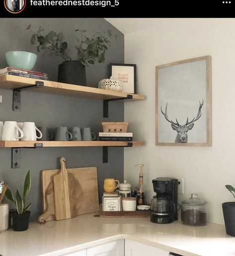 Float Shelf, Kitchen Shelf Styling, Kitchen Shelf Decor, Kitchen Wall Shelves, Modular Kitchen Designs, Rustic Floating Shelves, Farmhouse Shelves, Masonry Wall, Shelf Styling