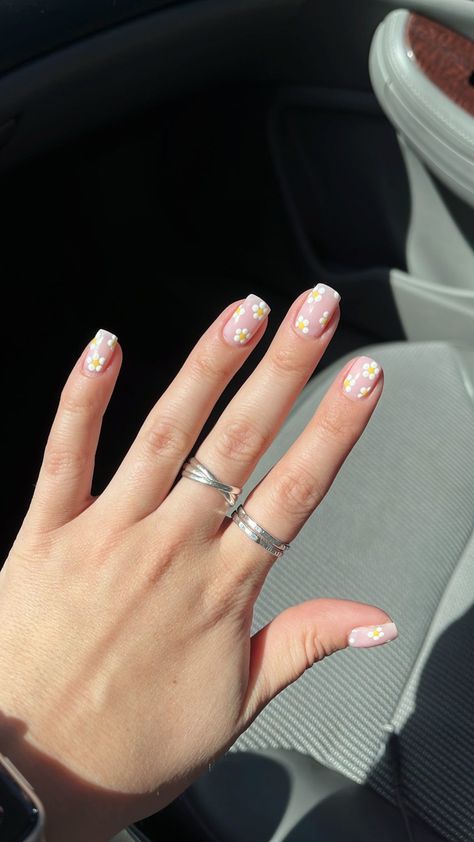 Cute Oval Nails Design Simple, Pink Daisy Nails Short, Daisy Gel Nails Short, White Flower Nails Short, Pretty Nails Flowers, Spring Nails White Flowers, Neutral Nails With White Flowers, Dotted Flowers Nail Art, Natural Flower Nail Designs