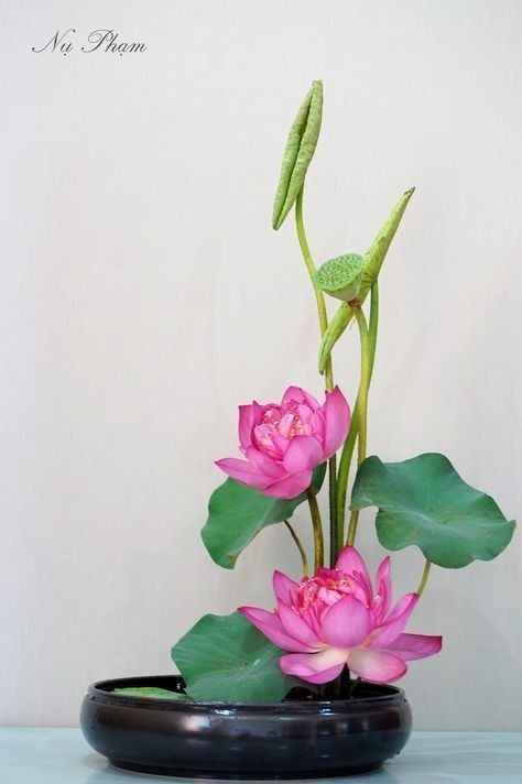 Lotus Arrangement, Lotus Flower Arrangement, Art Floral Japonais, Arreglos Ikebana, Sogetsu Ikebana, Ikebana Arrangements, Ikebana Flower Arrangement, Creative Flower Arrangements, Flower Arrangements Simple