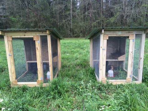 4x6 breeding pens for 3 Chicken Breeding Pens, Chicken Breeding, Portable Chicken Coop, Chicken Pen, Chicken Tractors, Urban Chickens, Farm Plans, Chicken Cages, Chicken Coop Designs