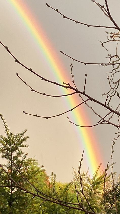 rainbow ~ wallpaper ~ aesthetic ~ colourful Rainbow Wallpaper Aesthetic, Gods Promise, Real Rainbow, Mr. Love, God's Promise, Rainbow Sky, Rainbow Aesthetic, Rainbow Wallpaper, Aesthetic Colors