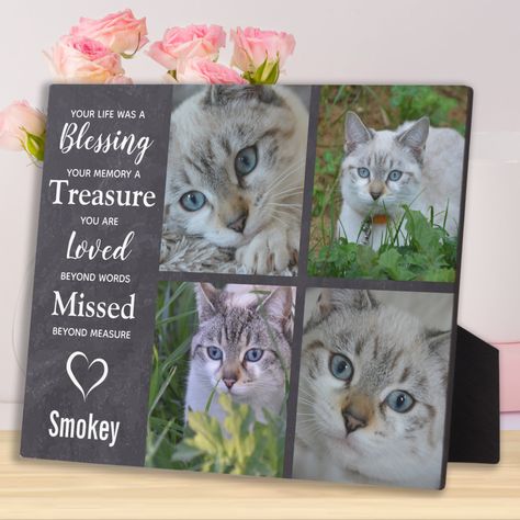 Memorial Frame Ideas, Losing A Cat, Memories Quote, Pet Loss Cat, Pet Memorial Garden, Sympathy Thank You Cards, Change Photo, Cat Memorial Gift, Dog Remembrance