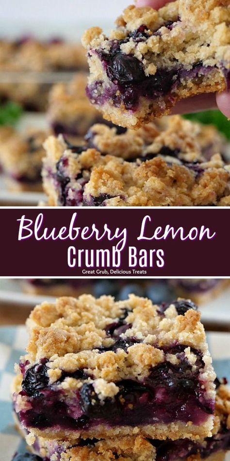 Blueberry Lemon Crumb Bars are super delicious, loaded with fresh blueberries and is a perfect summer dessert.  #dessertfoodrecipes #delicious #blueberries #homemade #greatgrubdelicioustreats Lemon Crumb Bars, Blueberry Crumb Bars, Blueberry Bars, Dessert Halloween, Crumb Bars, Dessert Parfait, Coconut Desserts, Blueberry Oatmeal, Blueberry Desserts