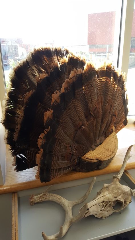 Turkey Fan Display Ideas, Turkey Feet Mount, Turkey Fan Decor, Turkey Tail Fan Mount Ideas, Turkey Fan Display, Turkey Fan Mount Ideas, Turkey Hunting Decor, Turkey Mounts, Deer Hunting Decor