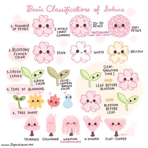 Japanese cherry blossom kawaii doodle 🌸 Japan Lover Me, Sakura Season, Materi Bahasa Jepang, All About Japan, Draw Flowers, 일본 패션, Learn Japanese Words, Japanese Phrases, Japanese Language Learning