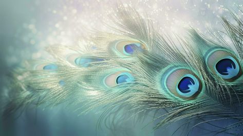 a bright blue background with one peacock feather, in the style of soft and dreamy pastels, glimmering light effects, nature-inspired imagery, generat ai Peackok Feather Wallpaper, Peacock Feather Background, Best Wallpapers For Laptop, Blue Colour Wallpaper, Blue Sky Images, Peacock Feather Art, Ombre Wallpaper Iphone, Bright Blue Background, Feather Background