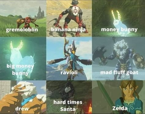 Botw Memes Funny, Zelda Memes Funny, Loz Botw, Legend Of Zelda Memes, Botw Zelda, Zelda Funny, Zelda Botw, Video Game Memes, Link Zelda