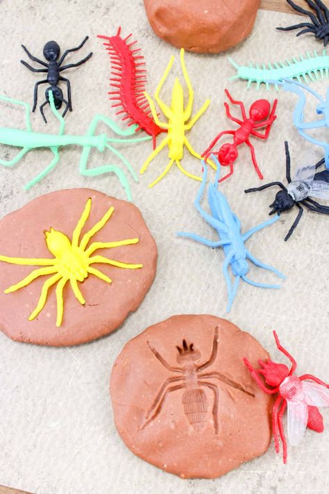 Fossil Activity, The Best Playdough Recipe, Chocolate Popcorn Balls, Insects For Kids, Best Playdough Recipe, Fossils Activities, Bug Activities, Insect Activities, Crafts And Activities For Kids