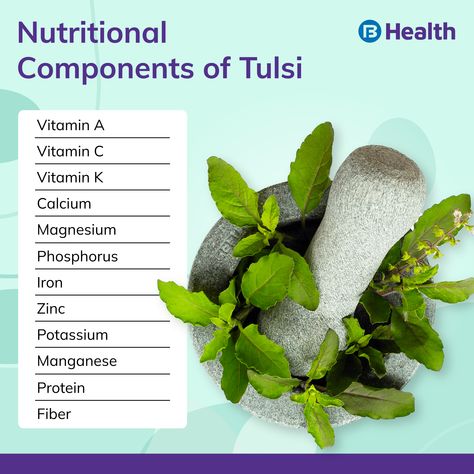 Tulsi Benefits, Holy Basil Benefits, Basil Benefits, Herb Benefits, Holy Basil, Ayurvedic Medicine, Skin Diseases, Nutritional Value, Respiratory