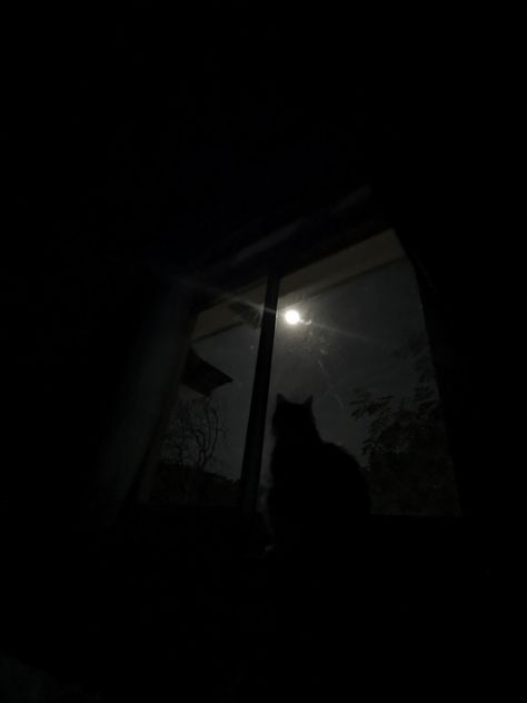 #cat #window #night #starrynight #moon #pinterest Black Cat Looking Out Window, Cats At Night Aesthetic, Cat And Moon Aesthetic, Moon Window Night, Cat Night Aesthetic, Cat Dark Aesthetic, Cats In The Dark, Pfp Night, Cats At Night