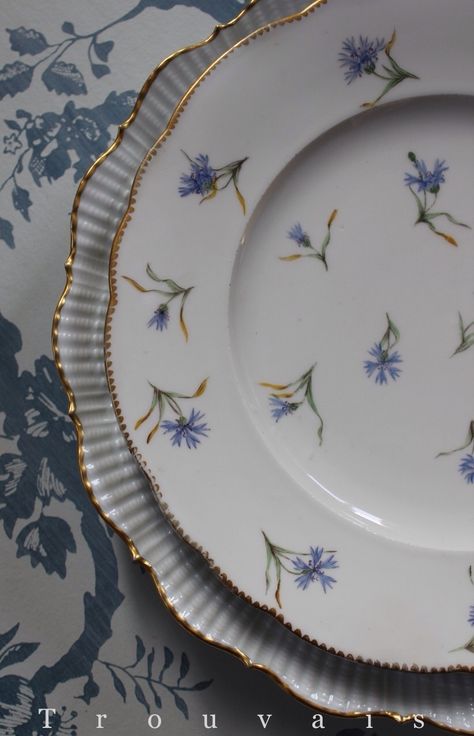 Rough Luxe, Tafel Decor, Pretty China, Antique Dishes, Keramik Design, Pretty Plates, China Painting, China Patterns, Beautiful Dishes