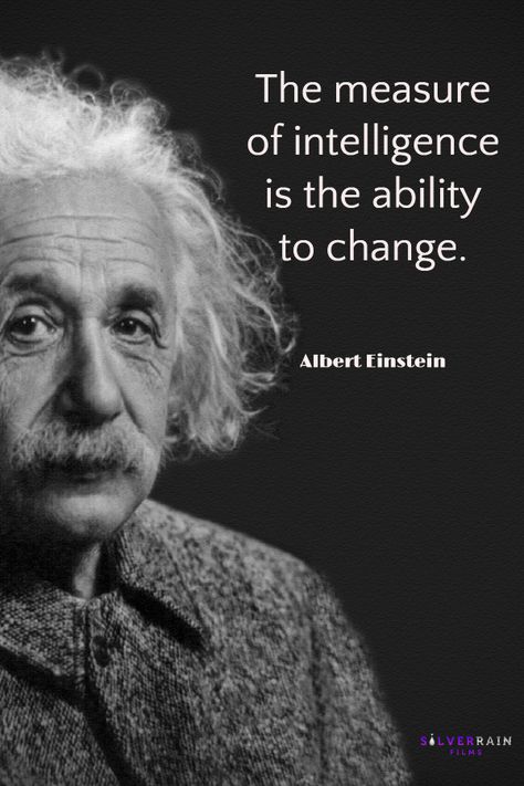 Quotes Notes, Greek Philosophy, Picture Jokes, Magical Quotes, Hilarious Quotes, Notable Quotes, Albert Einstein Quotes, Genius Quotes, Einstein Quotes