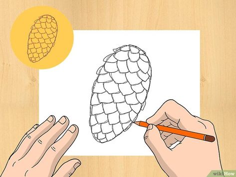 How to Draw a Pinecone: 6 Steps (with Pictures) - wikiHow Draw A Pinecone, Pinecone Drawing, Pine Cone Drawing, Flower Sketch, Flower Drawing Tutorials, Paper Bouquet, Flower Sketches, Plant Drawing, Nature Drawing