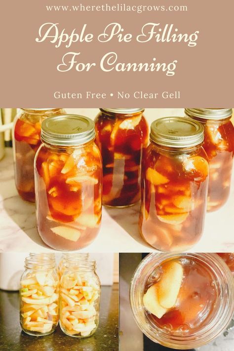 This apple pie filling is so delicious! It will make your holiday's so easy! You will be so glad you made this amazing apple pie filling that's gluten free and free of clear gel! #applepiefilling #applepierecipe #piefilling #canningapples #appleharvest #foodpreservation #applepiefillingrecipe #glutenfree #veganpie #veganapplepie #glutenfreeveganapplepie #glutenfreeveganpierecipe Canning Recipes Apple Pie Filling, Preserving Apple Pie Filling, Canning Apple Pie Filling With Cornstarch, Canning Apple Pie Filling With Tapioca, Canned Apple Pie Filling Recipes Without Clear Gel, Best Canned Apple Pie Filling, Caramel Apple Pie Filling Canned, Apple Pie Recipe For Canning, Canned Apple Pie Filling Without Clear Gel