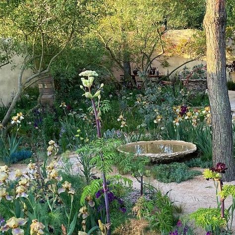 Cassian Schmidt on Instagram: "The Nurture Landscape Garden designed by @sarahpricelandscapes was my favorite garden. What a masterpiece - so delicate with wonderfully subtle colors. It was so nice to meet Sarah and her husband in the garden in beautiful evening light and having a drink together. The garden is inspired by renowned painter and plantsman Cedric Morris and his garden in Benton End. He was the breeder of a series of wonderfully colored bearded irises which are featured in this Che The Artist's Garden At Vétheuil, Garden Of Cosmic Speculation Scotland, Phoenix Botanical Garden, Botanic Gardens Belfast, The Artist's Garden In Argenteuil, Chelsea Garden, Gravel Garden, Mediterranean Garden, Chelsea Flower Show