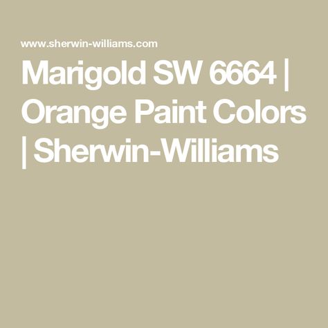 Marigold SW 6664 | Orange Paint Colors | Sherwin-Williams Orange Paint Colors, Sherwin Williams Paint Colors, Orange Paint, Paint Projects, Color Samples, Sherwin Williams, Paint Color, Exterior Paint, Painting Projects