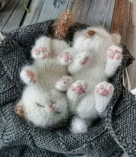 Gray Yarn Crochet Ideas, Kitten Knitting Pattern, Knitted Stuffed Animals, Crochet Cat Toys, Knitting Bag Pattern, Knit Top Patterns, Knit Rug, Sleeping Kitten, Cute And Cuddly