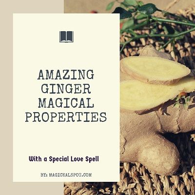 Here's everything you need to know about Ginger Magical Properties and its significance in the world of witchcraft. I've also included a few magickal tips Ginger Spiritual Benefits, Ginger Magical Properties, Turmeric Magical Properties, Ginger Magic, Herbal Correspondences, Magickal Tips, Ginger Uses, Hoodoo Magic, Ginger Roots