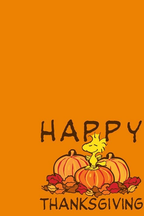 Thanksgiving Wallpaper for mobile phone, tablet, desktop computer and other devices HD and 4K wallpapers. Snoopy Happy Thanksgiving, Thanksgiving Messages For Friends, Happy Fall Yall Wallpaper, Wallpapers Thanksgiving, Iphone 4 Wallpaper, Snoopy Thanksgiving, Thanksgiving Iphone Wallpaper, Happy Thanksgiving Wallpaper, Peanuts Thanksgiving