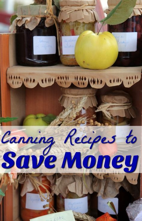 Home Canning Recipes That Save You Money! Diy Halloween Food, Preserving Vegetables, Low Acid Recipes, Home Canning Recipes, Canning Tips, Frozen Lemon, Tomato Sauce Recipe, Navy Wife, Home Canning