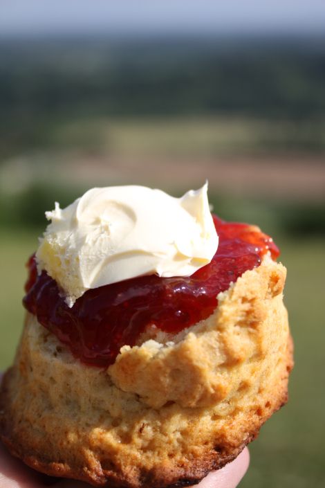 The cornish way with @Tim Harbour Harbour Rodda's Cream Cornish Cream Tea, Box Hill, British Desserts, Tea Illustration, Cream Tea, Clotted Cream, Food Places, Food Images, Lovely Things