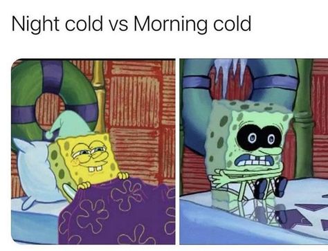 Morning Cold Funny Spongebob Memes, Spongebob Funny, Spongebob Memes, Relatable Post Funny, Some Funny Jokes, Funny Relatable Quotes, Really Funny Pictures, Really Funny Memes, Funny Tweets