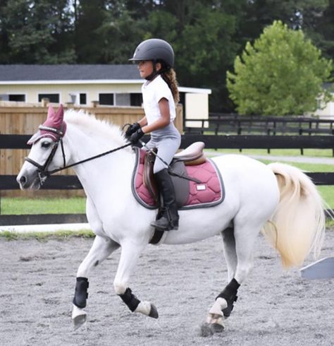 Kids Horse Riding, Pony Rider, Horse Riding Outfit, Horse Inspiration, Winter Rose, Dressage Horses, Miniature Horse, Horse Crazy, Horse Equestrian