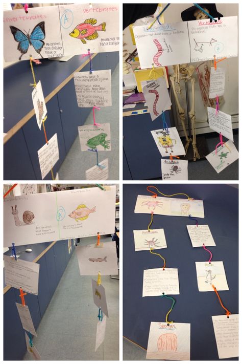 Invertebrates and Vertebrates Mobile. #scienceteacher ideas inspired by Pinterest! #mschihscience Invertebrates And Vertebrates, 5th Grade Science Projects, Classifying Animals, Sixth Grade Science, Vertebrates And Invertebrates, Vocabulary Strategies, Fourth Grade Science, Science Stations, Animal Classification