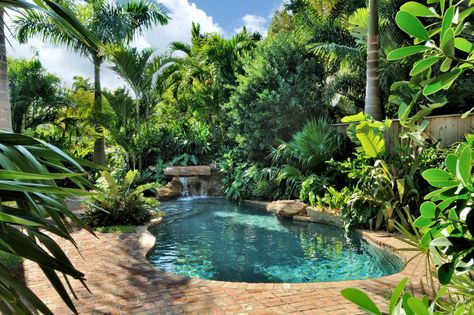 Swimming Pool Design Ideas | Landscaping Ideas and Hardscape Design | HGTV Swimming Pool Fountains, Tropical Pool Landscaping, Swimming Pool Landscaping, Tropical Backyard, Pool Landscape Design, Hardscape Design, Landscaping Inspiration, Pool Fountain, Tropical Pool