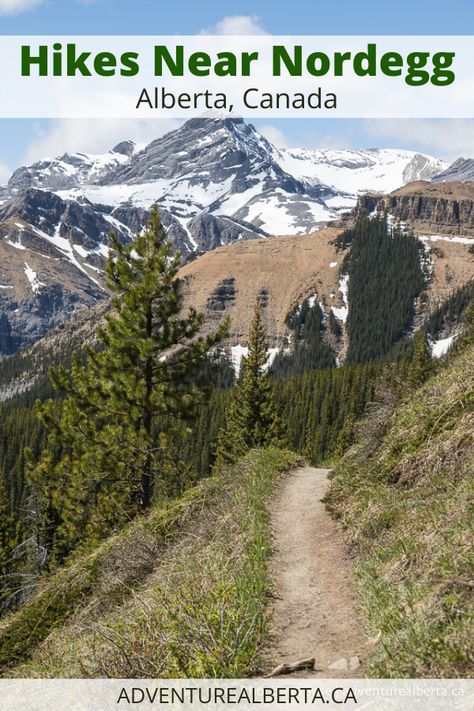 Nordegg Alberta, Jasper Hikes, Canada Hikes, Alberta Hikes, Travel Alberta, Abraham Lake, Bicycle Camping, Alberta Travel, Hiking Mountains