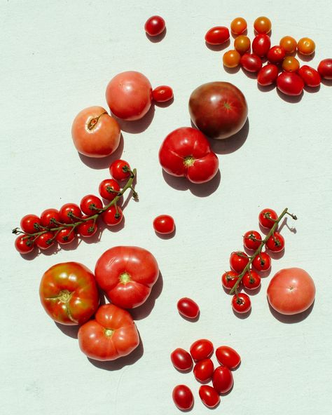 Heirloom Tomato season >>>>> Consider this your reminder to support your local farmers this Summer (all the time, actually) 🍅 ❤🍅❤️🍅❤️🍅️ Photography + Creative Direction: Bleubird Creative Tomato Photography, Tomato Aesthetic, Tomato Season, Heirloom Tomato, Photography Creative, Heirloom Tomatoes, Creative Direction, Creative Photography, Tomatoes