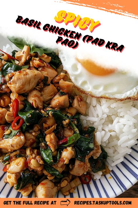 Try an exotic culinary journey right at home with our Spicy Basil Chicken (Pad Kra Pao) recipe! Perfect for heat seekers and food enthusiasts, this flavorful dish bursts with fresh basil, fiery chilies, and tender chicken. It's an authentic taste of Thai cuisine in your own kitchen. Follow our pin for easy-to-follow instructions! #ThaiCuisine #SpicyBasilChicken #PadKraPao #HomeCooking Thai Recipes Chicken, Spicy Basil Chicken, Pad Thai Recipe Authentic, Pao Recipe, Pad Kra Pao, Thai Chicken Recipes, Thai Recipes Authentic, Thai Basil Chicken, Pad Thai Recipe