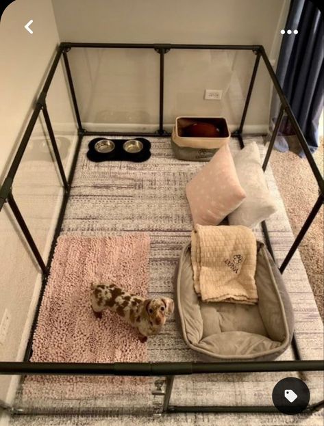 Rich Dog, Dog Room Decor, Puppy Pens, Pet Rabbit Care, Dog Bedroom, Puppy Playpen, Puppy Room, Dog Spaces, Pet Spaces