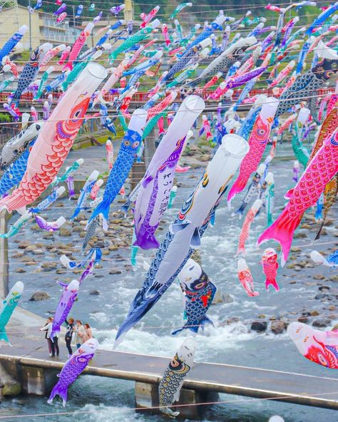 Japanese Childhood, Children's Day Japan, Carp Streamer, Koi Nobori, Asian Room, Japanese Kids, Room Concept, Virtual Travel, Kumamoto