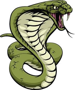 Tatuaje Cover Up, King Cobra Snake, Cobra Tattoo, Tattoo Snake, Snake Illustration, Gorilla Tattoo, Cobra Art, Snake Drawing, Snake Tattoo Design