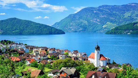 Lake Lucerne Beautiful View in Switzerland Country 4K Wallpaper Lake Lucerne Switzerland, Switzerland Wallpaper, Places In Switzerland, Interlaken, Wallpaper Laptop, Lucerne, Beautiful Lakes, Laptop Wallpaper, Computer Wallpaper