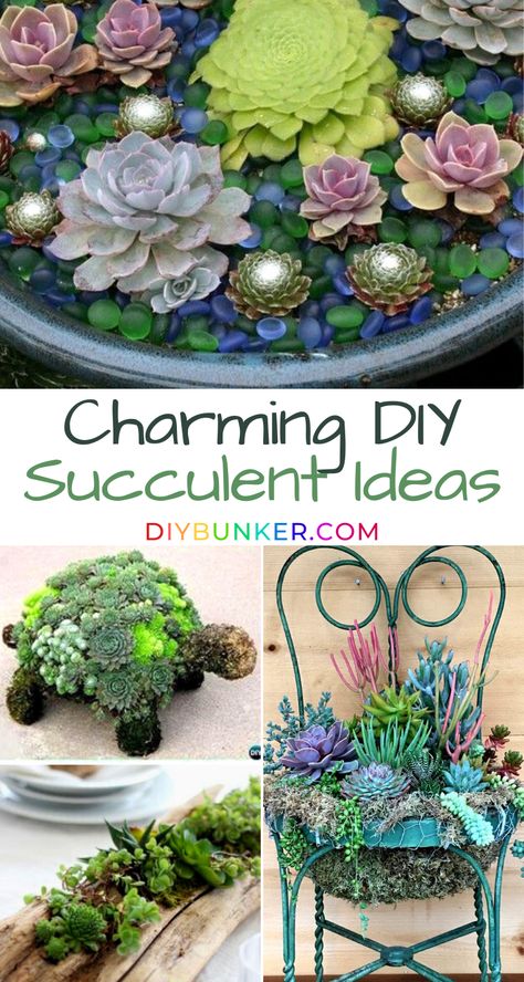 Succulent Crafts, Succulent Arrangements Diy, Succulent Wreaths, Succulent Rock Garden, Potting Ideas, Succulent Propagation, Succulent Garden Landscape, Succulent Diy, Succulent Landscape