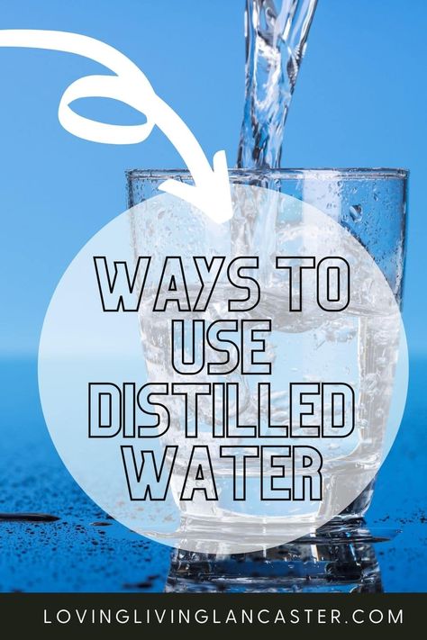 Using distilled water can have several benefits beyond just drinking. From household cleaning to personal hygiene, distilled water can play a vital role in improving your family's health and wellbeing. In this article, we'll share ten reasons why you should be using distilled water. Distilled Water Benefits, Homeschool Science Experiments, Canning Fruit, No Bake Pumpkin Cheesecake, Diy Beauty Treatments, Water Benefits, Diy Home Cleaning, Christmas Food Desserts, What To Use