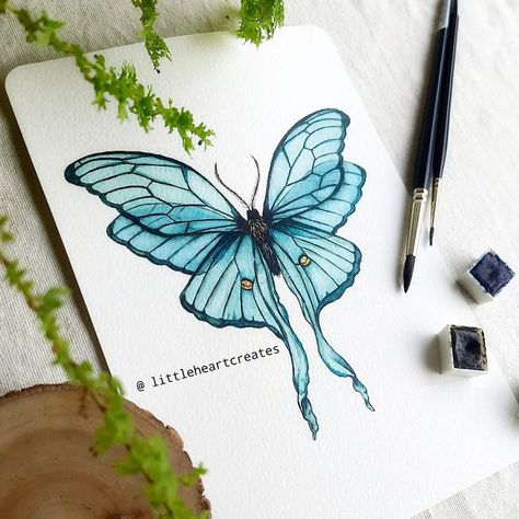 Watercolor Painting Easy, Butterfly Art Drawing, Soft Pastels Drawing, Watercolor Paintings For Beginners, Butterfly Clip Art, Butterfly Drawing, Painting Art Lesson, Butterfly Watercolor, Butterfly Art