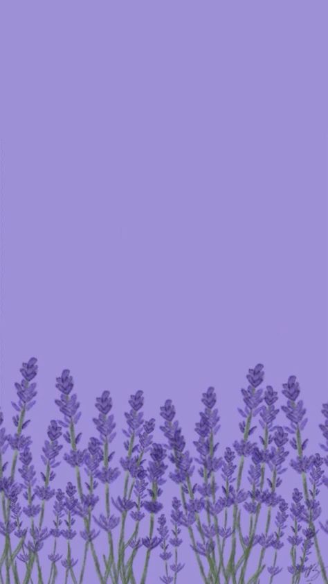 Light Purple Wallpaper, Purple Aesthetic Background, Iphone Ideas, Purple Flowers Wallpaper, Lavender Aesthetic, Flowery Wallpaper, Cute Pastel Wallpaper, Purple Wallpaper Iphone, Cute Simple Wallpapers