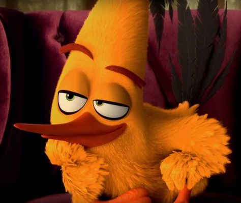 Not going to regret pinning this. Chuck From Angry Birds, Chuck And Red Angry Birds, Chuck Angry Birds Icon, Hear Me Out Objects, Chuck Angry Birds, Angry Birds Characters, Red Angry Bird, Birds Movie, Genos Wallpaper