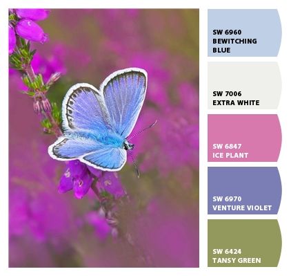 Paint colors from ColorSnap by Sherwin-Williams Butterfly Colouring, Butterfly Colour, Ice Plant, Color Schemes Colour Palettes, Colour Inspiration, Design Seeds, Color Palette Design, Artistic Inspiration, Perler Bead Art