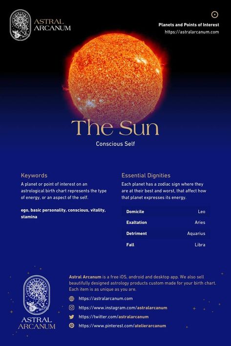 Sun In Astrology Meaning, Leo Sun Sign, Mercury Sign, Planet Sun, Astrology Meaning, Astrology Planets, Learn Astrology, Birth Chart Astrology, Astrology Numerology