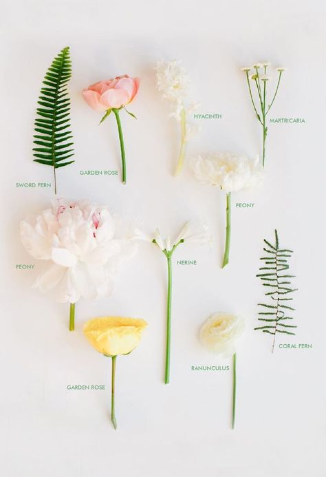 Ranunculus Garden, Wedding Planning Decor, Flower Guide, Cut Flower Garden, Fresh Flowers Arrangements, Vase Arrangements, Flower Names, Language Of Flowers, Arte Floral