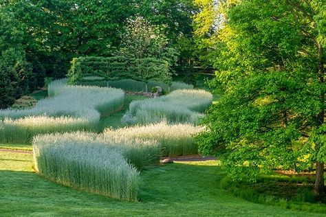 The Serpentine Garden at Chanticleer, with winter rye and espaliered ginkoes. Natural Gardens, Meadow Garden, Gardening Books, Luxury Garden, Ornamental Grasses, Plant Design, Raised Garden Beds, Modern Garden, Architectural Digest