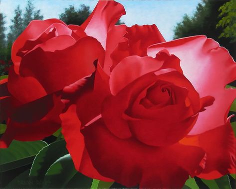 Brian Davis | Q7 Editions Brian Davis, Flower Paintings, Orange Roses, Fine Art Gallery, Yellow Roses, Original Artists, Amazing Flowers, Beautiful Roses, Cool Artwork