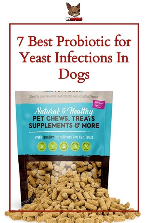 7 Best Probiotic for Yeast Infections In Dogs. A yeast infection in dogs can occur in many places on and in the body.. The best quality probiotic for dogs with a Yeast infection is TummyWorks Probiotic Powder. The product is so ideal that it recovers your dog from yeast, diarrhea, itching, bad breath, and other infections. Dog Yeast Infection Skin Remedies, Yeast In Dogs, Yeast Infection In Dogs, Probiotic For Dogs, Training Treats For Dogs, Dog Aesthetics, Training Puppies, Probiotics For Dogs, Training A Puppy