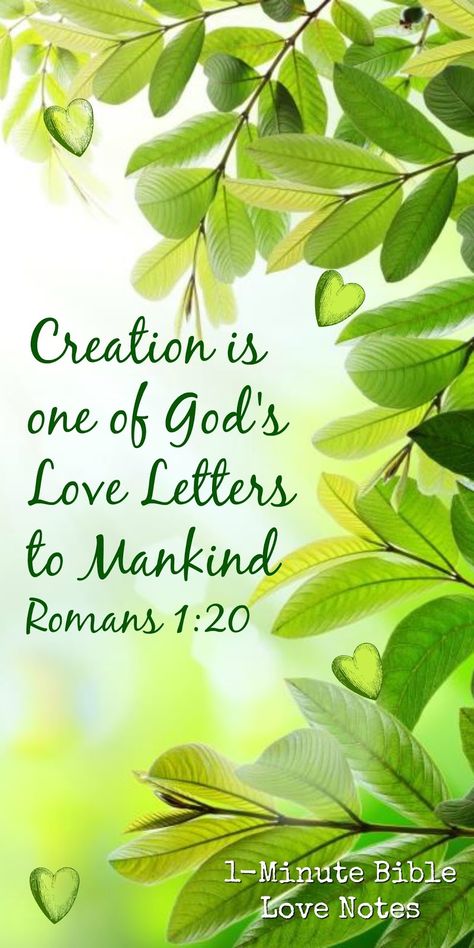 Nature is One of God's Love Letters - A Way He Speaks To Us - Romans 1:20 Romans 1 20, Bible Verses About Nature, Creation Quotes, Roman 1, A Course In Miracles, Bible Love, Garden Quotes, Inspirational Bible Verses, Nature Quotes