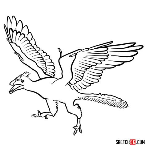 How to draw an archaeopteryx Squirrel Coloring Page, Zoo Coloring Pages, Sun Coloring Pages, Deer Coloring Pages, Emoji Coloring Pages, Bug Coloring Pages, Snake Coloring Pages, Easy Drawing Guides, Lion Coloring Pages