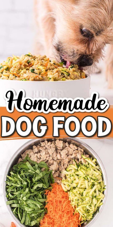 Healthy Dog Food, Home Cooked Dog Food, Cook Dog Food, Diy Dog Food, Make Dog Food, Dessert Simple, Food Dog, Raw Dog Food Recipes, Dog Nutrition